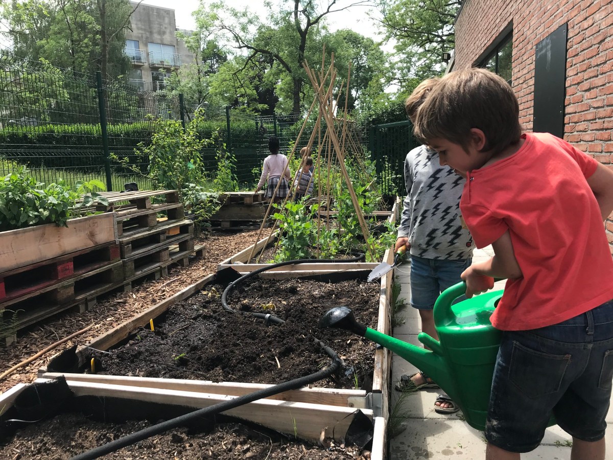 BLES, Learning through landscapes en IVN richten LTL cursus in&nbsp;@Gent.