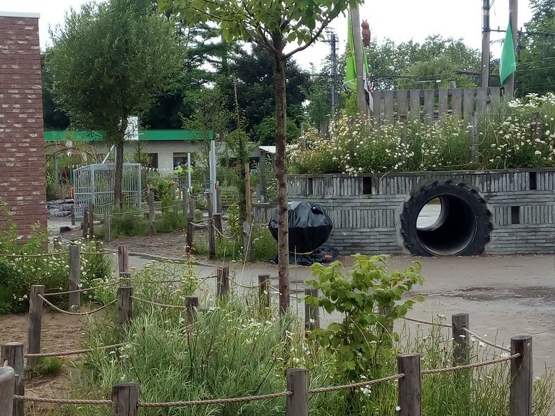 Info for international&nbsp;guests